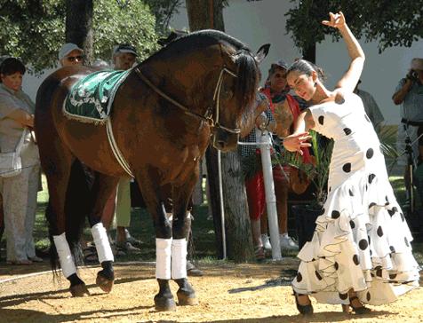 Spettacolo equestre in Spagna